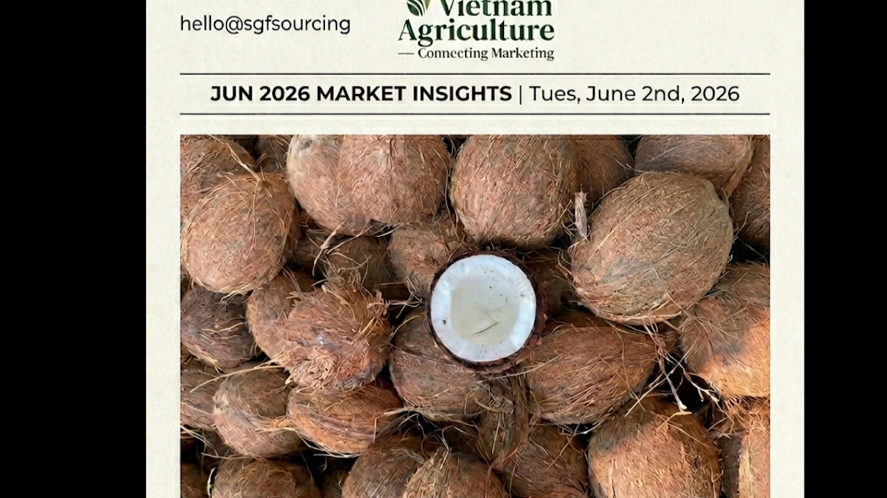 Fresh coconut cream in a glass jar — Vietnamese coconut price surge 2026