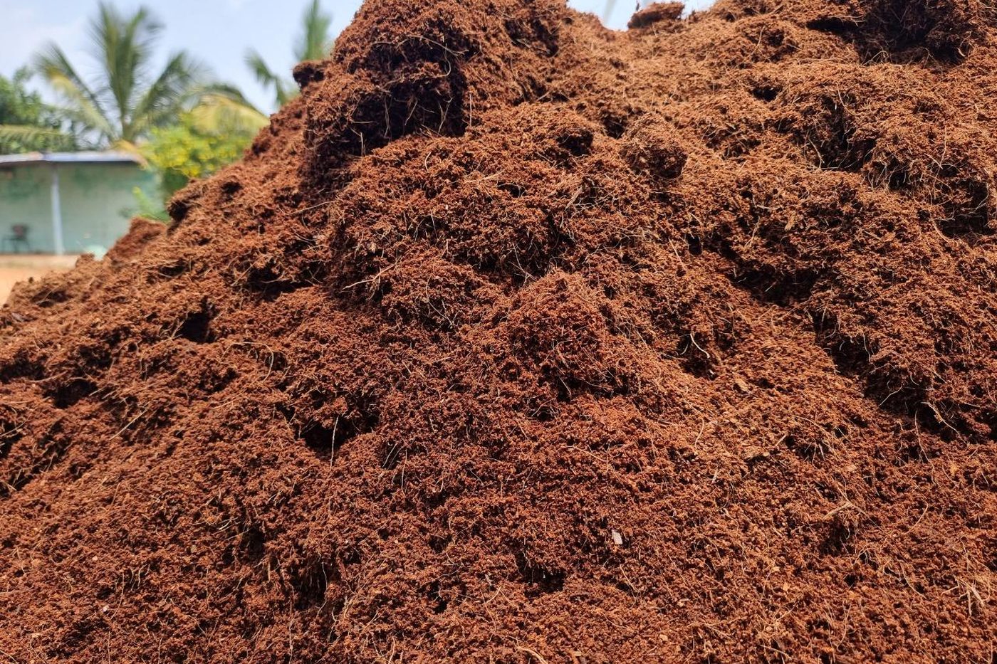 Compressed cocopeat blocks and loose coir pith