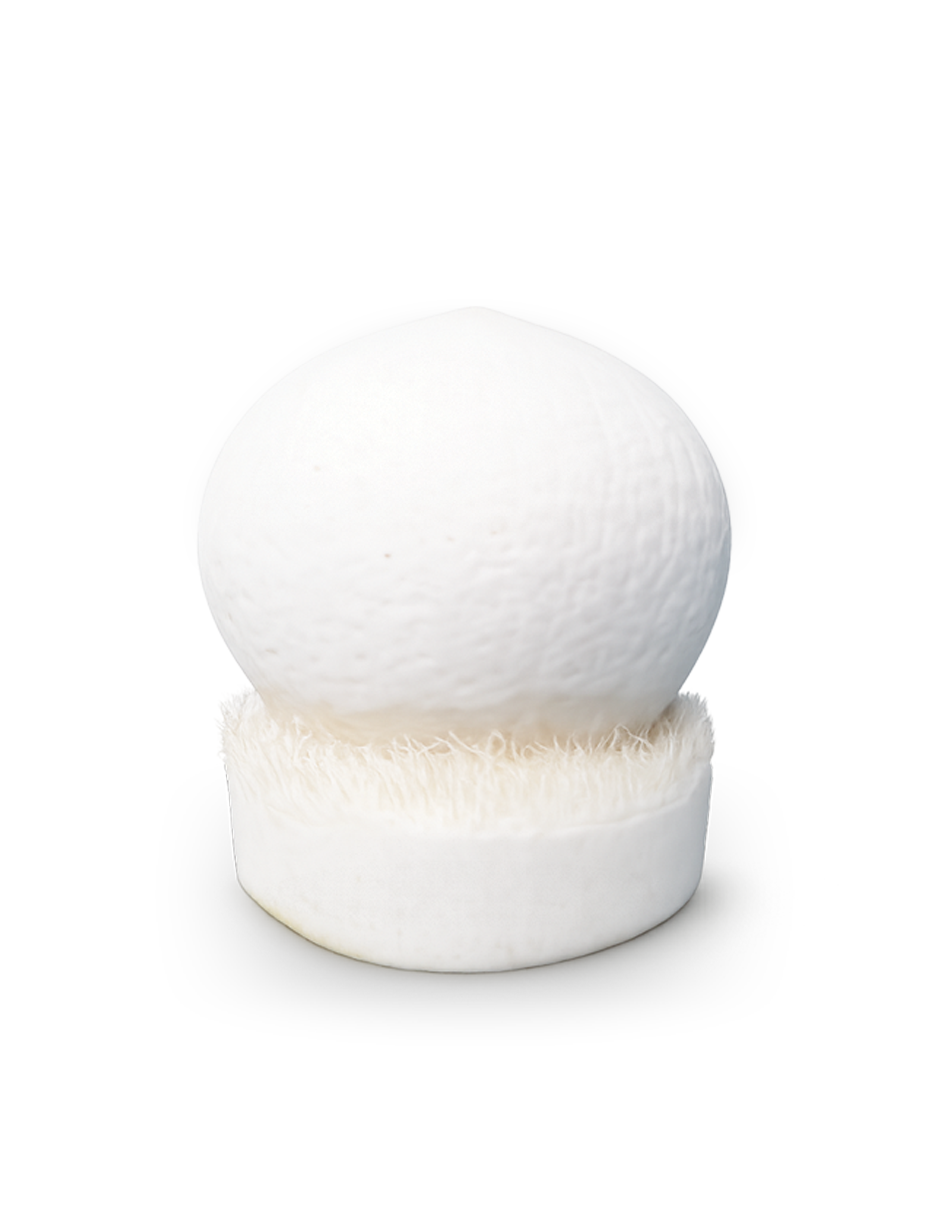 Polished-Half Bald Coconut (Medium)
