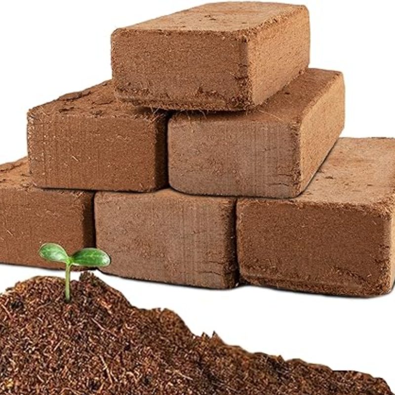 Coco Peat from Ben Tre, Vietnam — SGF Sourcing