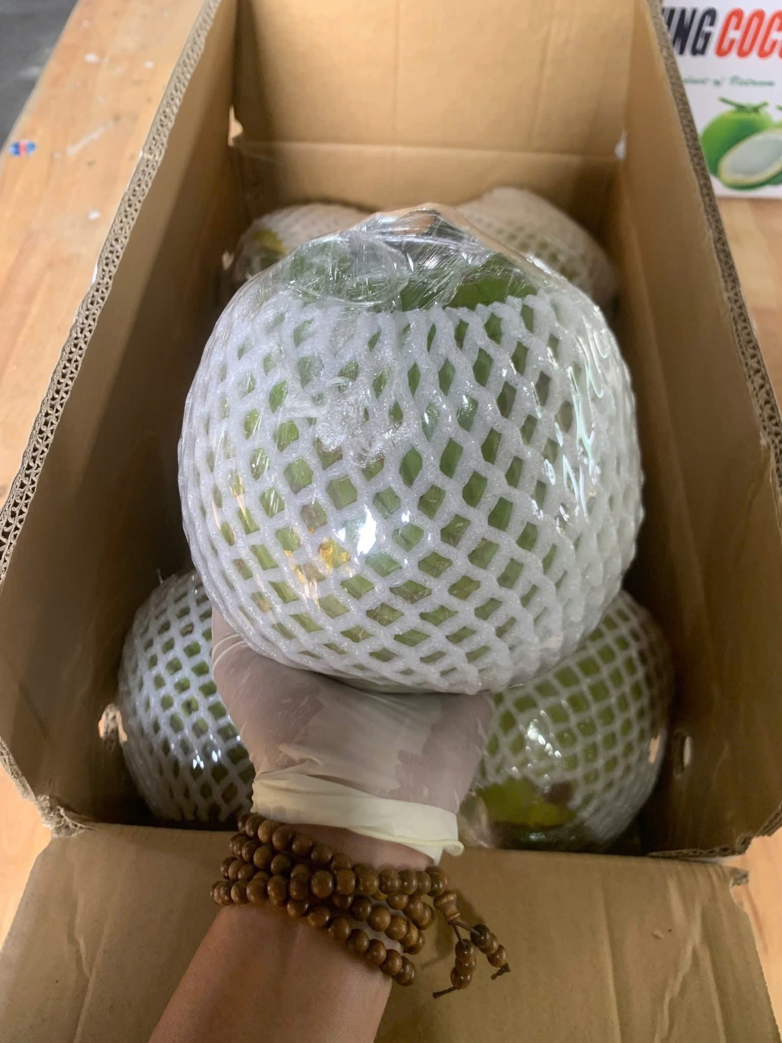 Semi-Husked coconut — protective fiber retained