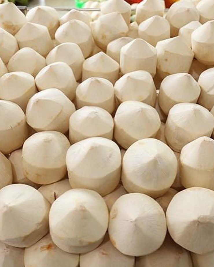 Diamond Cut coconuts — faceted pyramid tops