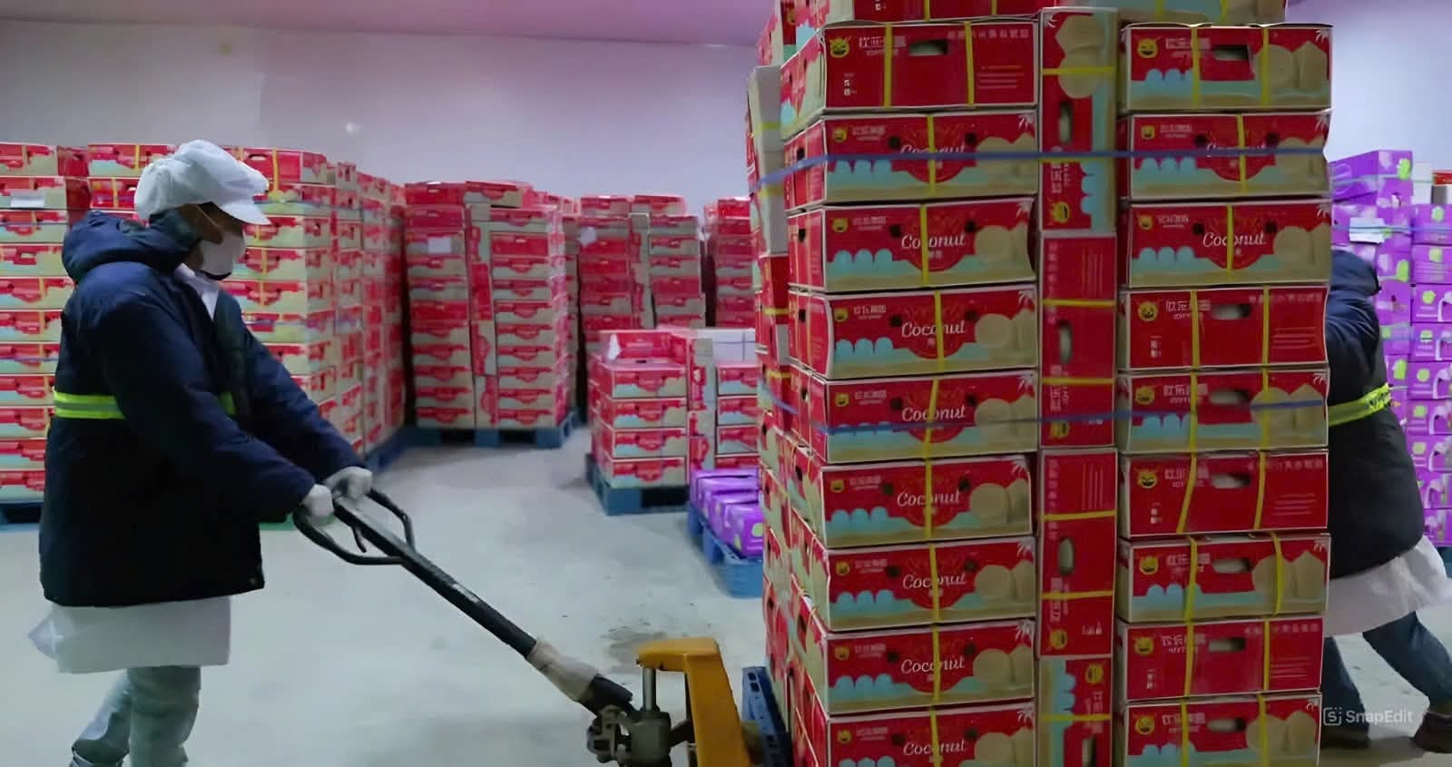 Bulk industrial — palletised cartons in cold storage